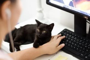 Dépanneur informatique intervenant au domicile du client pour de l'assistance sur son ordinateur